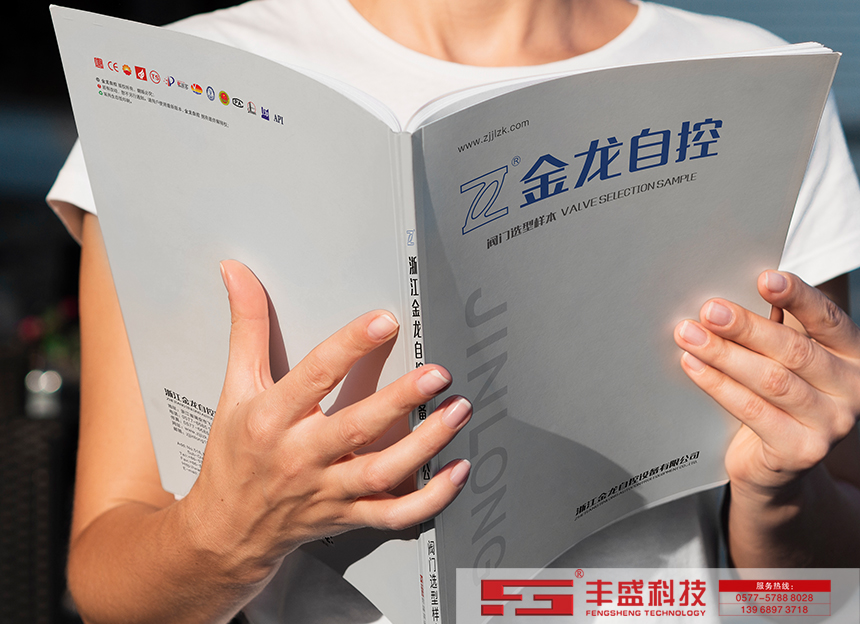 浙江金龍自控設備有限公司-樣本畫冊設計